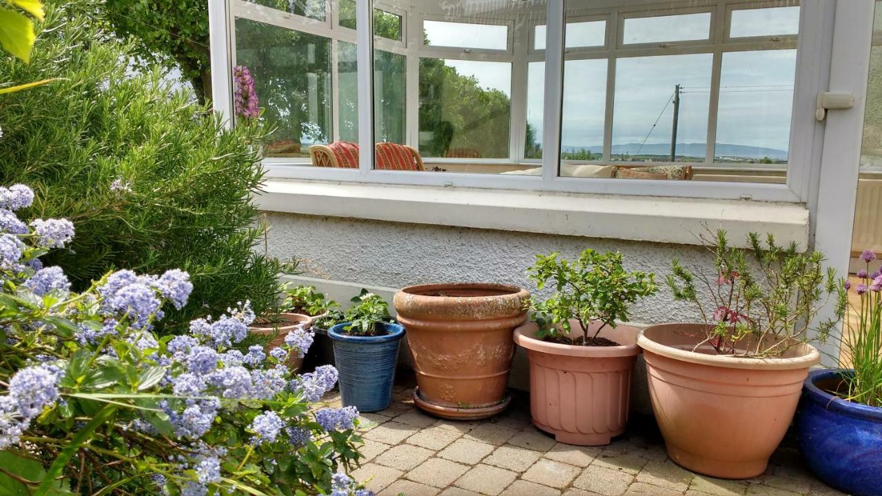 Rush View Bed & Breakfast Портръш Екстериор снимка